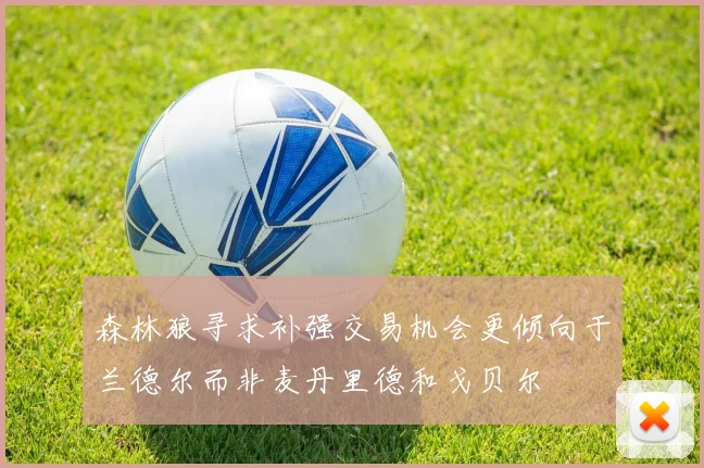 森林狼寻求补强交易机会更倾向于兰德尔而非麦丹里德和戈贝尔