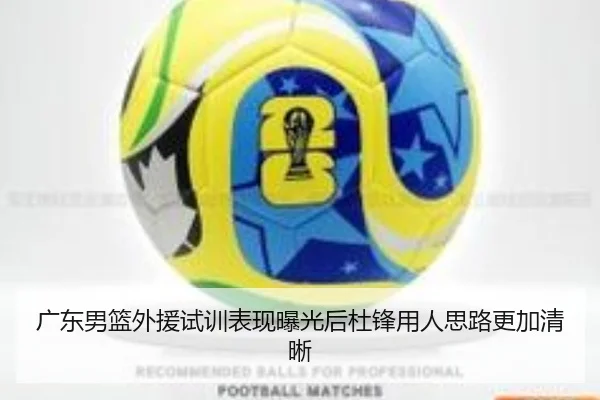 广东男篮外援试训表现曝光后杜锋用人思路更加清晰 - MILANSPORT